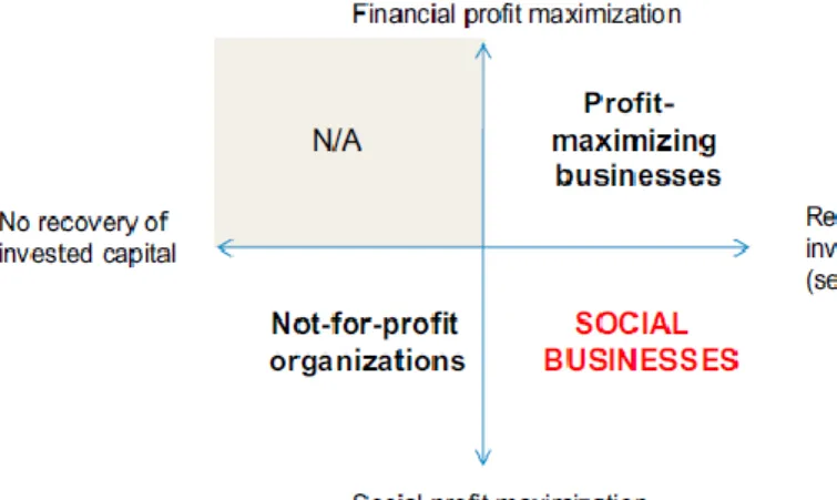 Figure 6: Social Businesses Model.  