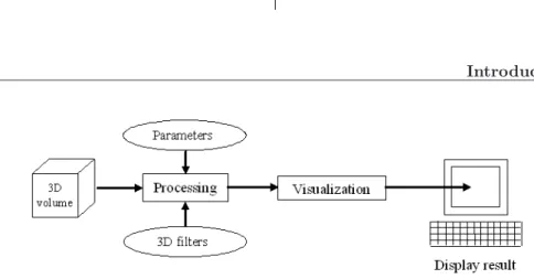 Figure 1.1. Processing chain from 3D volume to enhanced image visible for the observer.