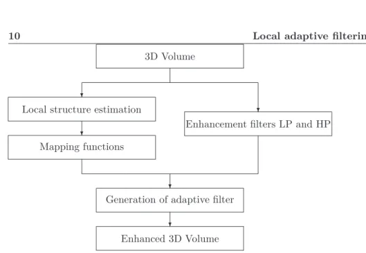 Figure 2.1. Flow chart of local adaptive filtering, for 3D signals