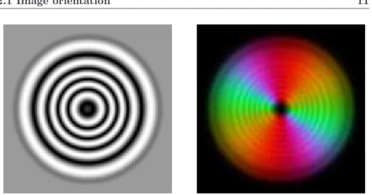 Figure 2.2. Orientations in 2D testvolume. To the left the original image and to the right image of the different orientations, the colors correspond to different orientations