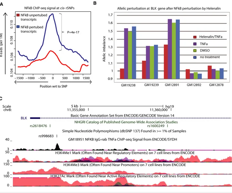 Figure 5. Direct assessment of allele-specific NFjB binding highlights target genes and its implication in diseases.