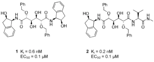 Figure 6. Lead compounds 1 and 2.  