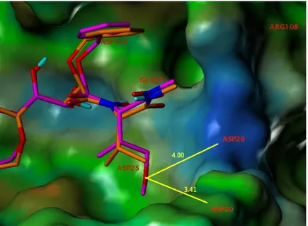 Figure 9. Docked pose of inhibitor 21b (magenta) overlaid with that of inhibitor 2   (orange) from the crystal structure prepared as in Figure 8