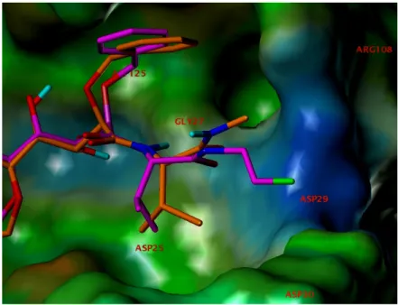 Figure 10. Docked structure of inhibitor 21d (magenta) overlaid with that of   inhibitor 2 (orange) from the crystal structure prepared as in Figure 8