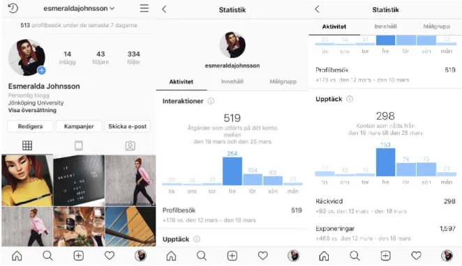 Figure 3: Instagrams statistic tool for account