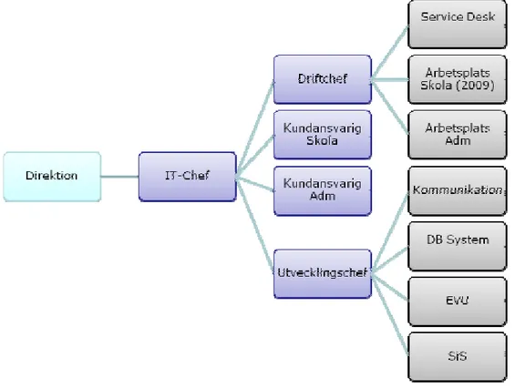 Figur 11. Organisationsschema för GöLiSka IT. 116