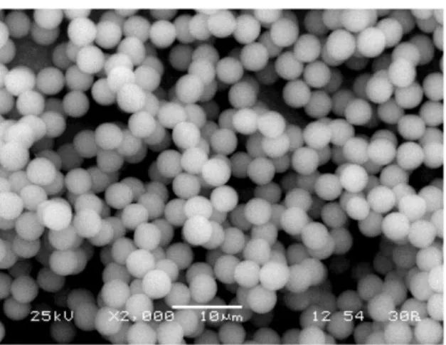 Figure 7  Plain particles, Concore PO-4.8 