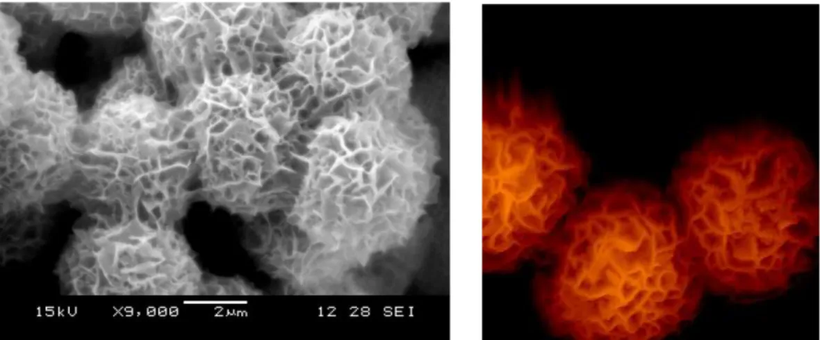 Figure 11  Example of “coral” like structure of Ni-coated particles after storage  in moist air