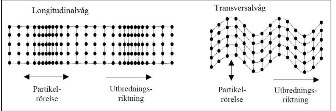 Figur 2.1:Illustration av longitudinella och transversella vågrörelser (Nilsson, et al., 2002) 