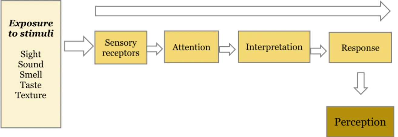 Figure 2: The perceptual process. Adopted from Solomon et al. (2014)  