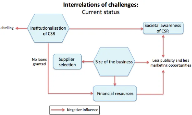 Figure I: Interrelations of challenges: Current status 