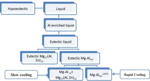 Figure 2. Solidification sequences of AZ91D alloys [45]. 