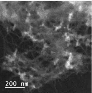 Figure 5.  TEM image of cross-linked NFC foam material by the “organoclick” strategy. 