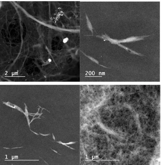 Figure 2. TEM pictures of different samples: Top left is sulphite softwood dissolving pulp