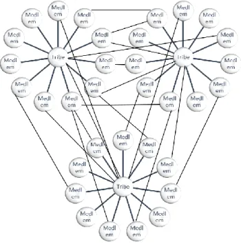 Figur 4: Illustration av de sociala nätverkssystemens omfattning.  