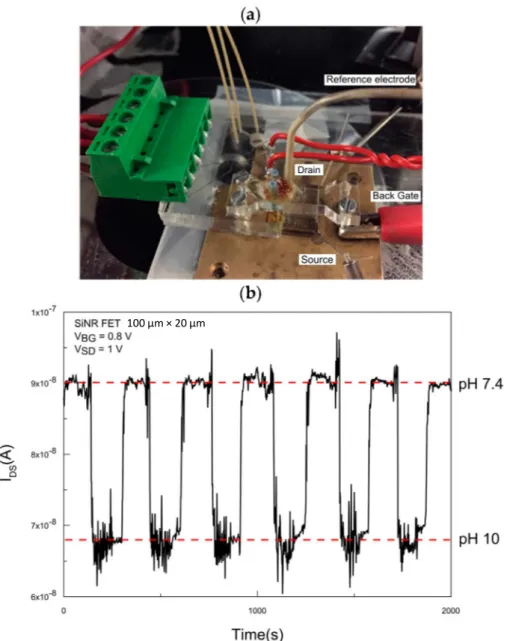 Figure 5. pH measurements under continuous pulse. (a) Set-up used for the measurements