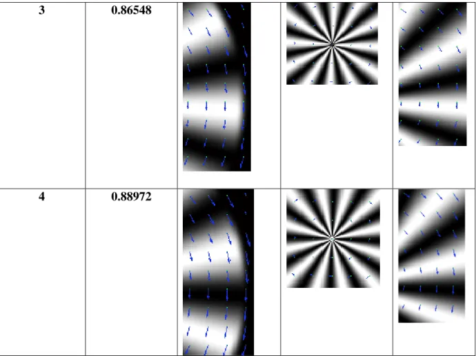 Table 2: Comparing displacement vectors in different pyramid levels for all pixel 