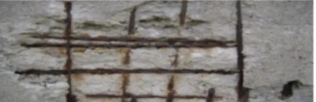 Figur 10: korrosion och frostsprängning i armerad betong. 