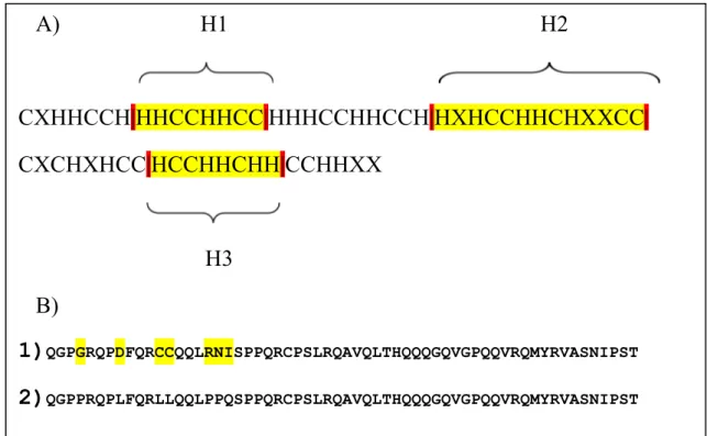 Figure  10.  The  recombinant  MO2.1  sequence.  A)  The  peptide  sequence  of  MUT1-MO2.1  rewritten in form of Hydrophobic and charged amino acid residues