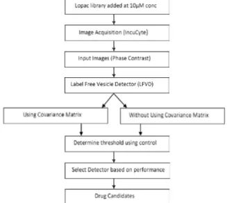 Figure 2. Flow chart of the automated microscopy-based screen. Drugs were added  to HCT116 cells at a final concentration of 10 µM and incubated for 72 hours