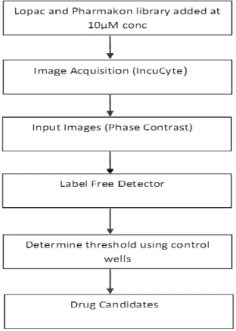 Figure 6. Flow chart of the automated microscopy-based screen. Drugs were added  to HCT116 cells at a final concentration of 10 µM and incubated for 72 hours