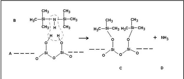Figure  8.  Reaction  of  HDMS  (B)  with  the  hydroxylated  SiO 2 -surface  (A),  forming a hydrophobic –Methyl rich surface while ammonia is released