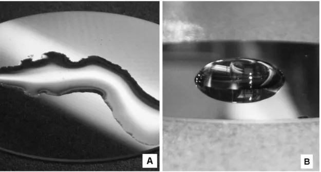 Figure  9.  Illustrative  example  of  different  surface  wetting  properties,  (A)  a  drop of water on an untreated SiO 2  surface and (B) with a thin Cr coating on  top