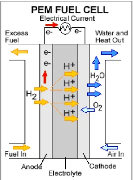 Figure 1.1: PEM Fuel Cell Working Principle [15] 