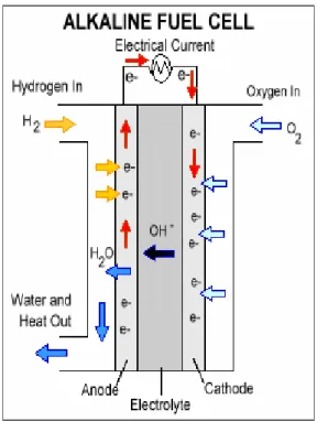 Figure 1.2: Alkaline Fuel Cell Working Principle [15] 