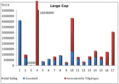 Figur 4-6 Fördelning av IM tillgångar respektive goodwill i Large Cap 