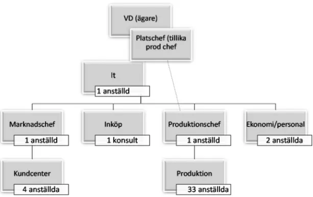 Figur 8. Organisationsschema över LIP hösten 2009 med sina då 43  anställda. VD tillika ägare och produktionschef tillika Platschef