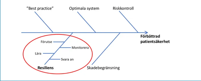 Figur 1: Olika säkerhetsstrategier med inspiration från Amalberti och Vincent (8). 