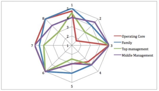 Figure 4.  Spider graph over the result in the ranking statements
