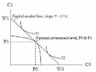 Figure 3-2 Fisher Separation (Copeland, Weston &amp; Shastri p.19, 2005) 