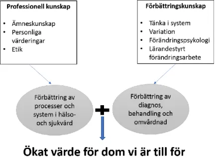 Figur 1. Batalden &amp; Stoltz (1993) teori om kombinationen av förbättringskunskap och Professionell  kunskap (Nationella kvalitetsregister, sidan 10