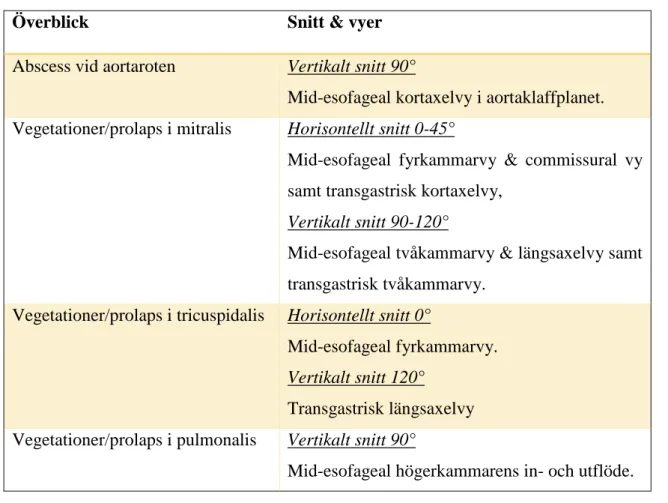 Tabell 1. Grundvyer vid TEE som bör studeras vid endokarditfrågeställning, beroende på endokarditens  lokalisation (Ramrakha &amp; Hill, 2012)