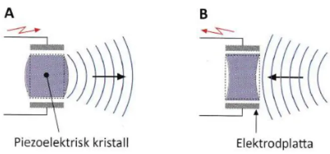 Figur 4. A visar hur elektriska impulser omvandlas till  ljud.  B  visar  ljud  som  omvandlas  till  elektriska  signaler (Olsson, 2015)