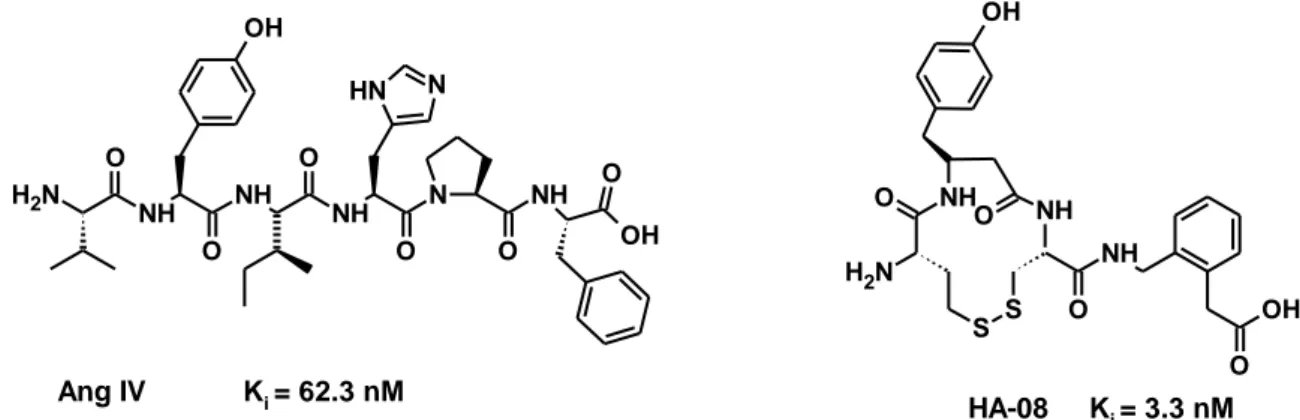 Figure 1: The structure of Ang IV and the Ang IV peptidomimetic HA-08. 