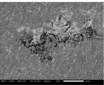 Fig. 10. SEM-BS image of corroded CeCC on 2L alloy deposited from the solution of 0.05 mol/l Ce(NO 3 ) 3 , 0.05  mol/l NaCl and 0.02 mol/l H 2 O 2  (1 h immersion)