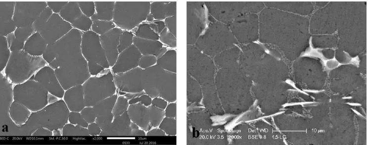 Fig. 2. summarizes  the  surface morphologies of  the  cerium-based conversion coatings on  Al-2.5  wt.% Si alloy,  deposited from different conversion solutions