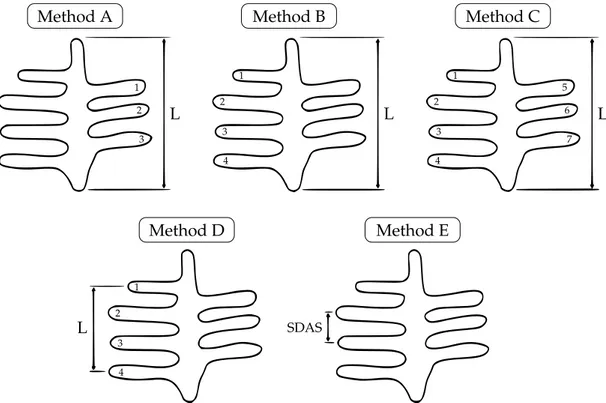 Figure 2.15 shows two typical dendrite-like structures, with the following distinctions: