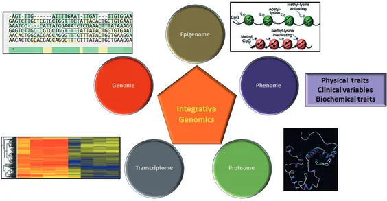 Figure 1. Integration of data from different platforms to understand the mech- mech-anism of complex biological system
