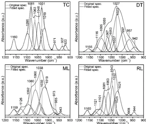 Table 2 FTIR spectra (cm 1 ) peak position of stoichiometric and nonstoichiometric phases in the brachiopod shells