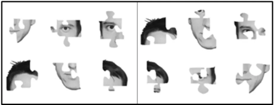 Figure 5. To the left is an example of a puzzle pieced picture with the eyes visible and to  the right an example of bisected eyes