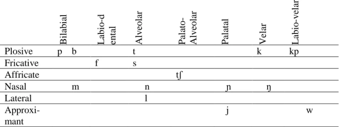 Table 1 : Consonant phonemes in Sɛlɛɛ 