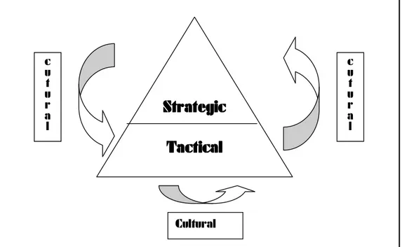 Figure  3.1.  A  framework  of  relationship among strategic,  tactical, and cultural  catego- catego-ries