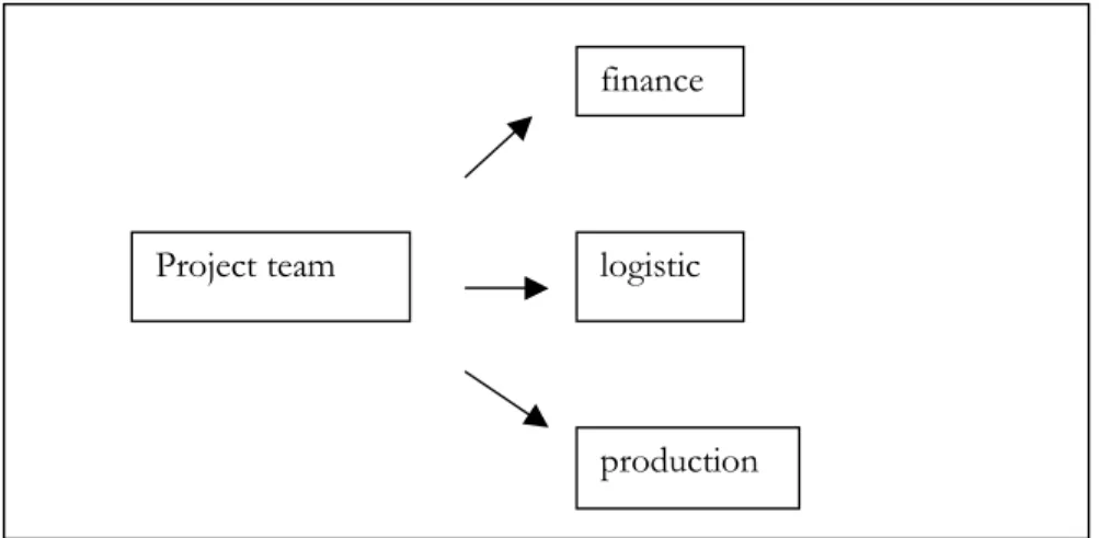 Figure 4.2. The project team for ERP implementation in SYSteam. 