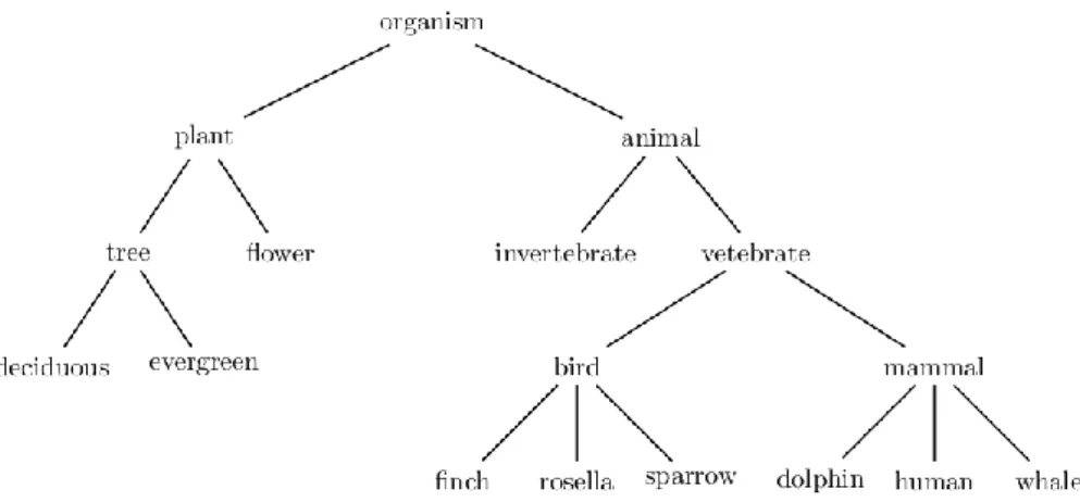 Figure 16. Concept classification tree. (MVNGU, 2011)  1.6.11 Brainstorming 