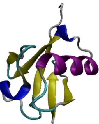 Figure 3: 3D model of the protein ubiquitin with high- high-lighted secondary structures[7]