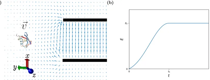 Figure 4: a) 2D representation of the electric vector field experienced by a protein injected into a paralell plate capacitor